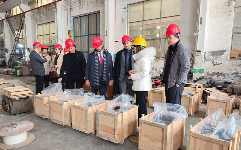 Overseas clients visit 4.jpg